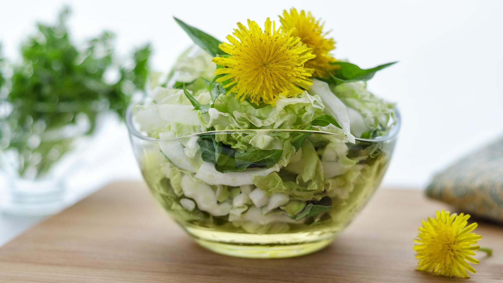 Gyermekláncfű: az elfeledett gyógynövény