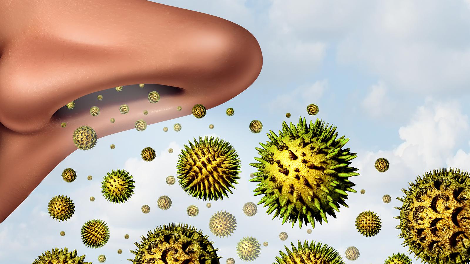 Parlagfű-allergia: segít a természet  