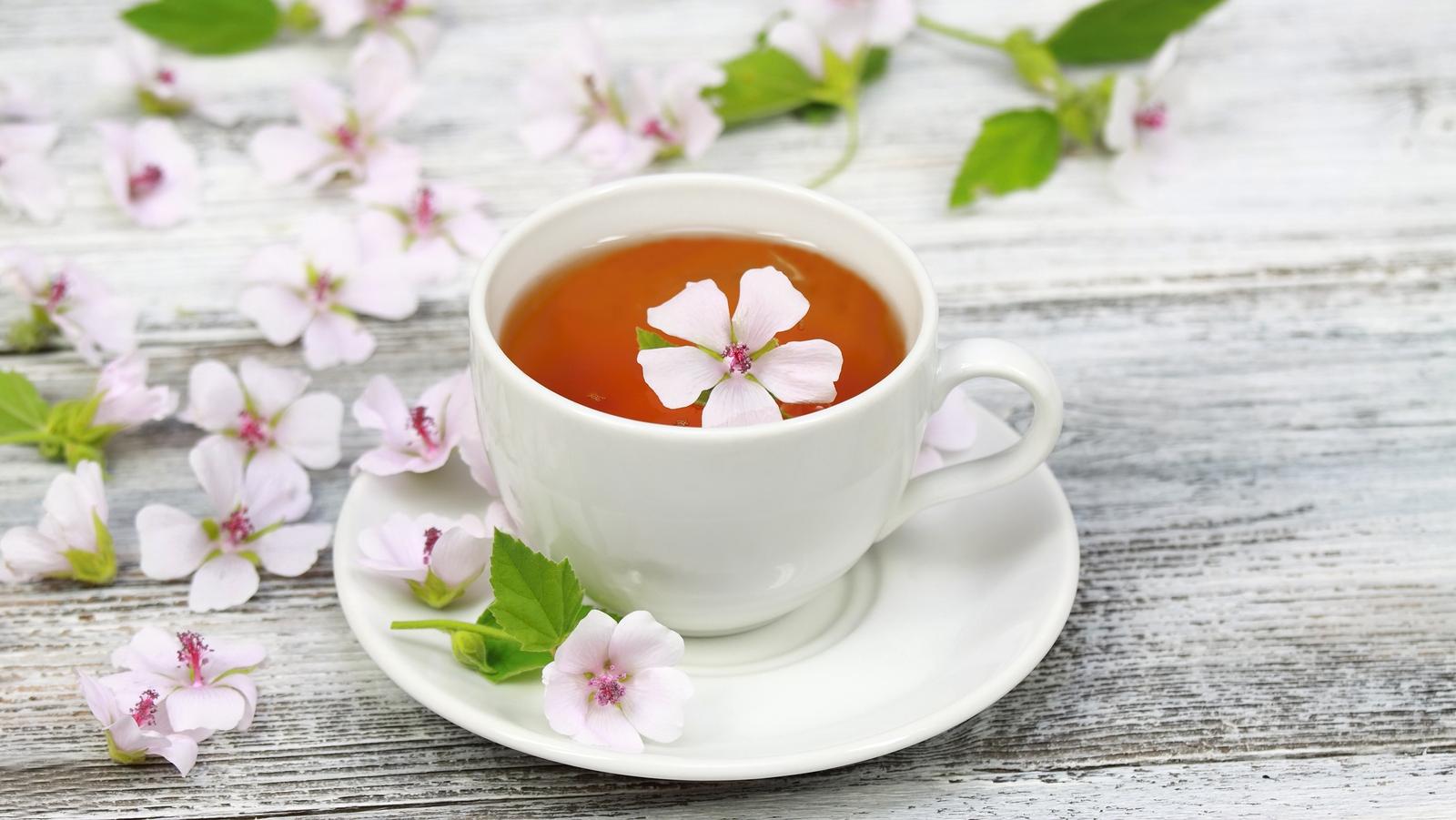 A fehérmályva méregtelenítésre és béltisztításra is jó