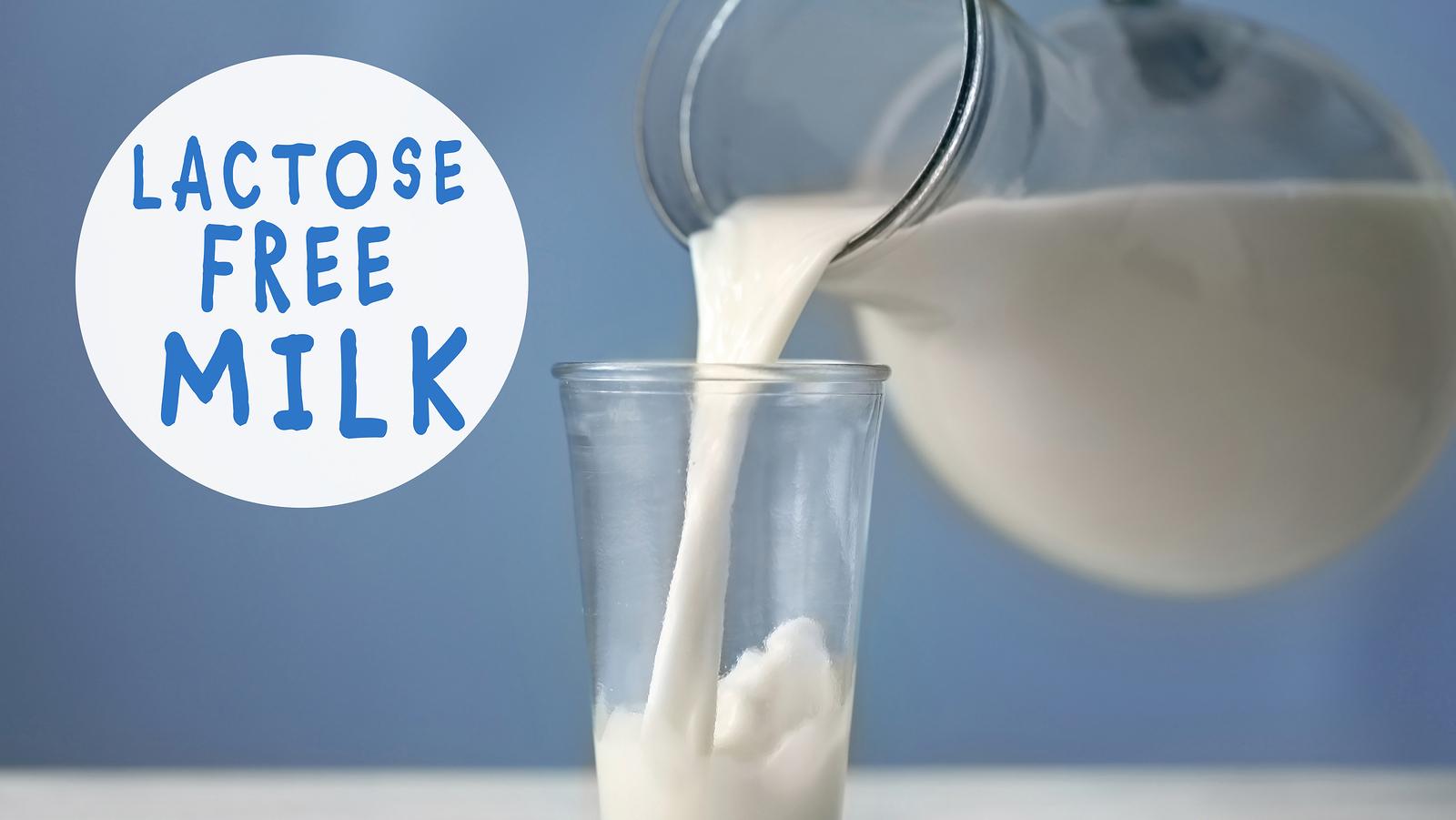 Laktózmentes tej: miért jobb a növényi eredetű?