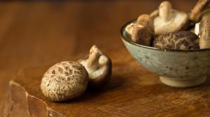 Shiitake:  Gomba a cukorbetegség ellen