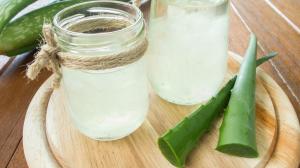 Aloe Vera: a természet doktora