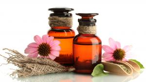 Echinacea – A természetes immunstimuláns 