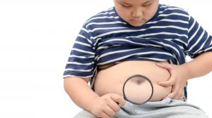 Az elhízás tudósok szerint nem az akaratgyengeség jele!