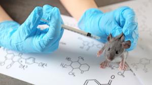 Gyógymód a rák ellen: Egerekben hatott a rák elleni injekció 
