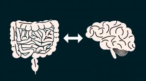 Mentális betegségek és a bélrendszer l Hódító útjára indult a neurogasztroenterológia