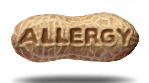 Földimogyoró allergia: segíthet a probiotikum 