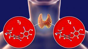 Nehezen felismerhető a pajzsmirigy-túlműködés, de a kezelése nem az 