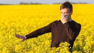 Pollenallergia: megelőzés és kezelés természetes módszerekkel