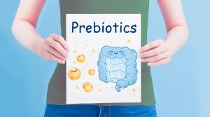 A hasznos baktériumok, azaz a probiotikumok növekedését prebiotikumok segítségével támogathatjuk