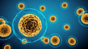 Sejtes immunterápia a rák ellen