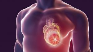 Mi az szívizom-károsodás oka? 