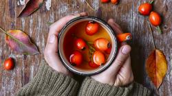 Csipkebogyó: egészségvédelem természetesen